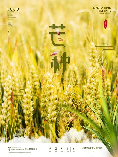 简约风传统节气芒种摄影图海报