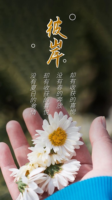 手掌小雏菊小野花手机海报