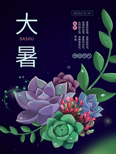 原创多肉植物原画大暑节气海报
