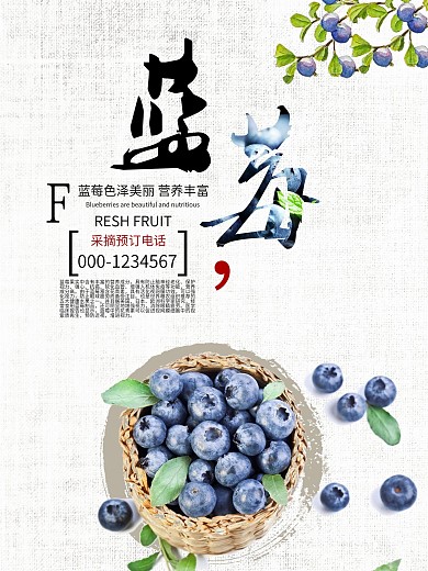 新鲜蓝莓水果海报