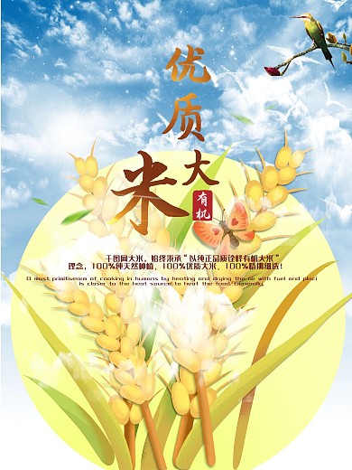 大米海报清新优质大米有机大米图片海报