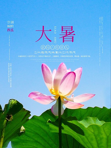 荷花大暑大暑海报夏天海报夏天