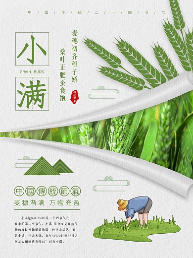 小满节气宣传海报