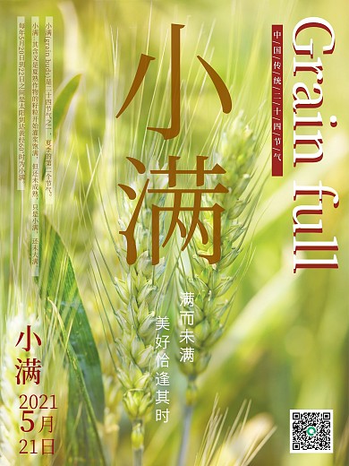 夏天简约麦穗小满传统24节气海报