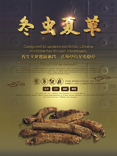 冬虫夏草中医药材中华传统医学食材宣传海报