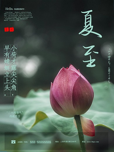 夏至宣传海报夏日荷花