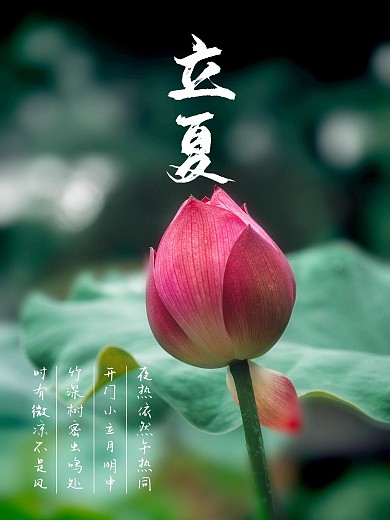 立夏传统节日二十四节气海报夏天夏季