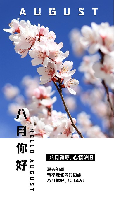 八月你好心语心情手机配图模板