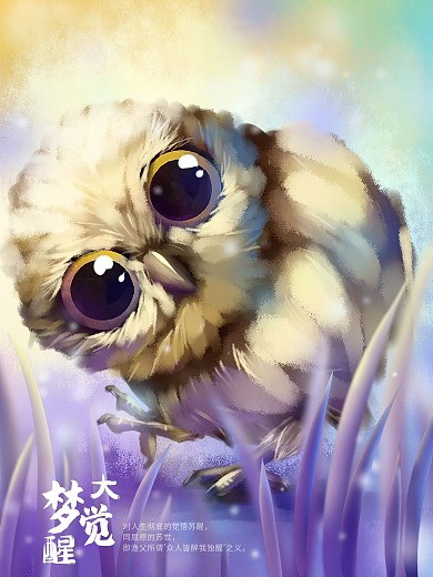 梦觉原画可爱猫头鹰