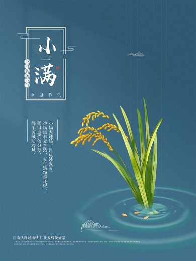 中国传统节气风小满麦子稻谷水滴简约海报