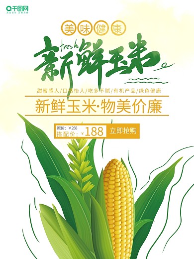 玉米海报图片