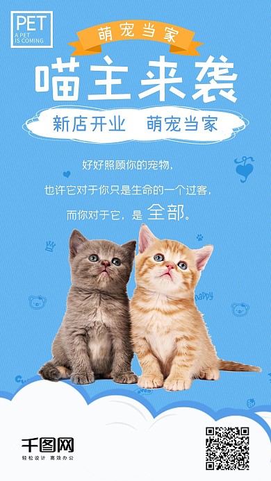 喵主来袭可爱喵星人手机配图