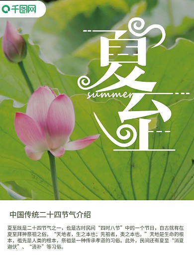 绿色简约小清新夏至节气海报