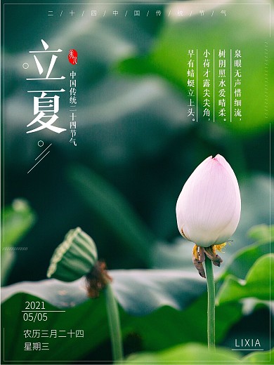 中国传统节日二十四节气荷花立夏宣传海报