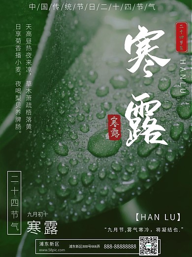 寒露摄影图清新海报