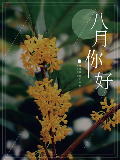 小清新八月你好摄影图合成海报