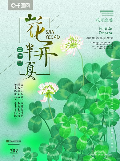 原创手绘花开半夏三叶草夏日小清新海报