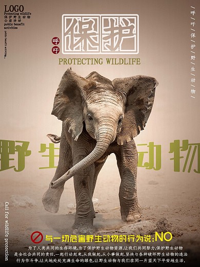 摄影图呼吁保护野生动物公益海报