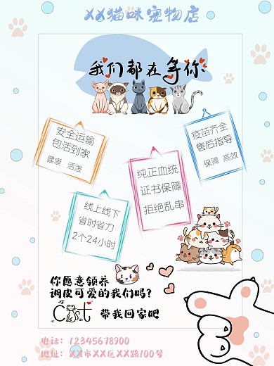 猫咪宠物店商业海报
