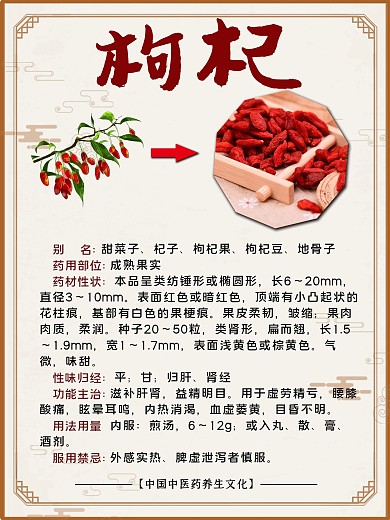 简约中医养生中药枸杞海报