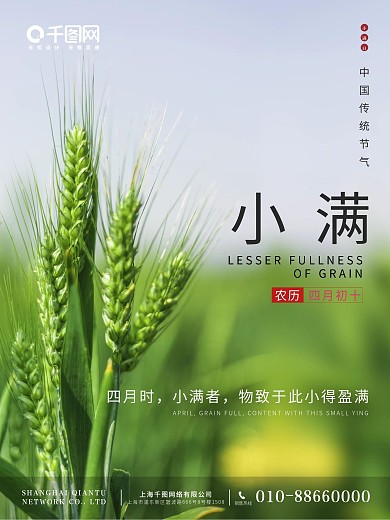 夏天简约麦穗小满芒种传统24节气海报