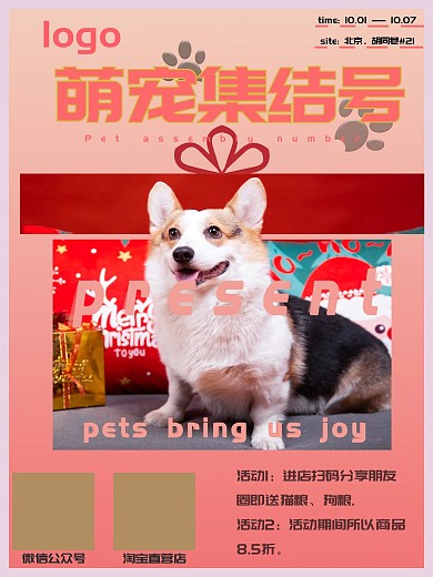 宠物（促销、开业）