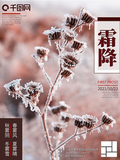 二十四节气霜降摄影图简约红棕色海报