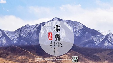 寒露节气清新唯美展板