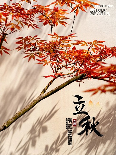 立秋节气摄影图元素海报