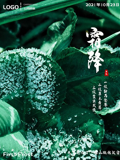 霜降节气植物宣传海报