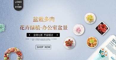 日用家居绿植多肉简约电商banner模板