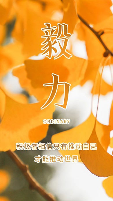 毅力银杏植物秋天叶子