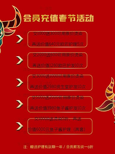 美发造型沙龙会员充值春节活动海报