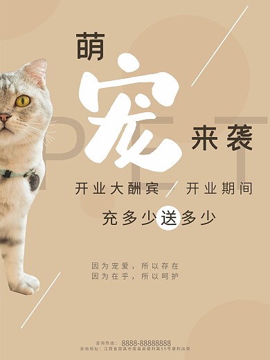 宠物店开业促销海报