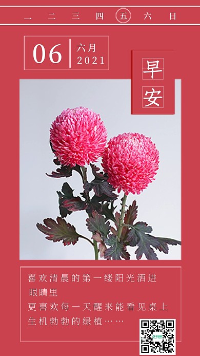 简约清新植物早安