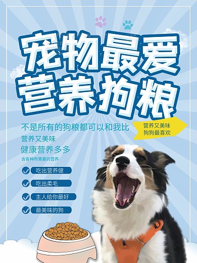 宠物食品宣传介绍海报