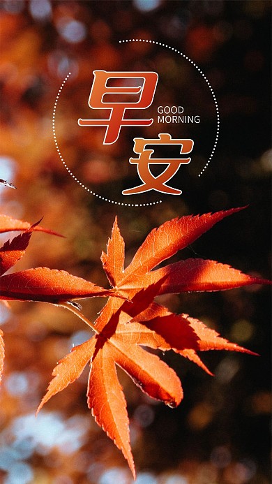 秋天秋季手机海报枫叶黄叶子