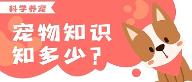 宠物知识卡通狗公众号封面banner