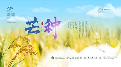 二十四节气摄影图芒种展板