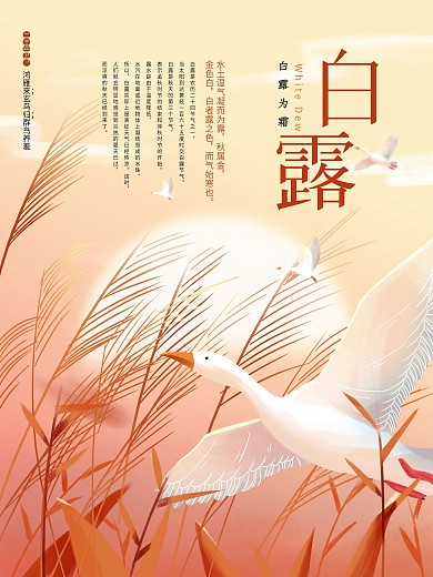 白露芦苇鸟白露海报秋天秋天背景