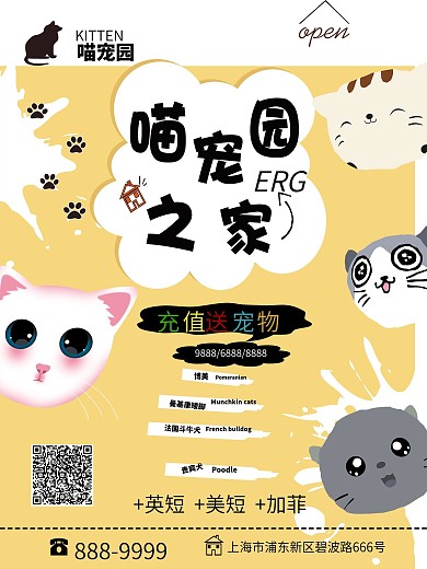 加林仙人宠物直播背景