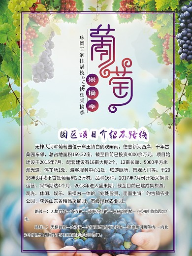 葡萄海报园区项目介绍