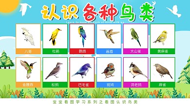 卡通插画风认识鸟类早教挂图