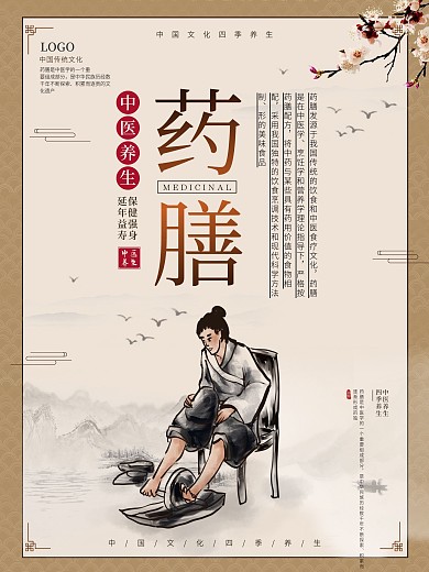 膳药中医养生保健系列海报四季养生海报