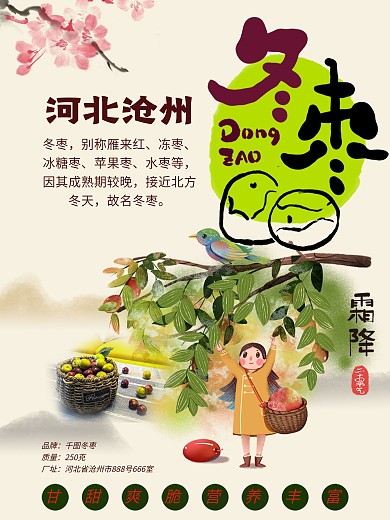 河北省特产冬枣水枣苹果枣促销海报