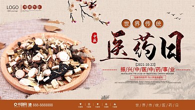 中国风世界传统医药日宣传展板
