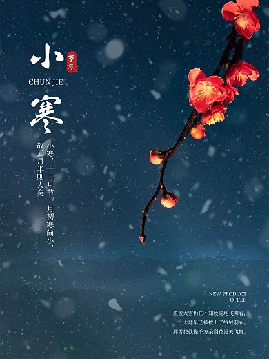 小寒梅花小寒海报冬天夜晚下雪