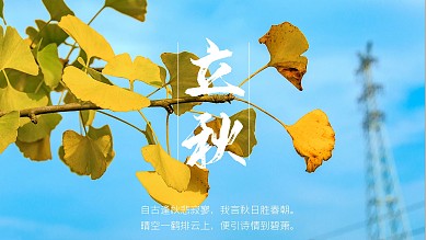 立秋传统节日二十四节气海报秋天秋季