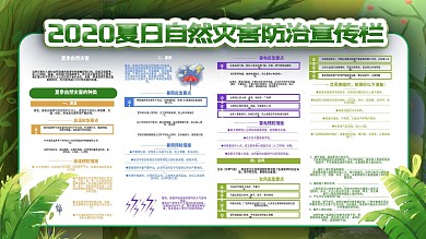 2020夏季自然灾害防治宣传栏展板