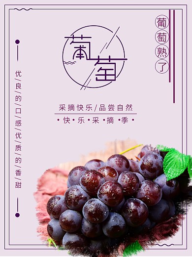 秋季水果新鲜美味清新葡萄宣传海报